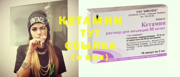сатива Каменск-Шахтинский