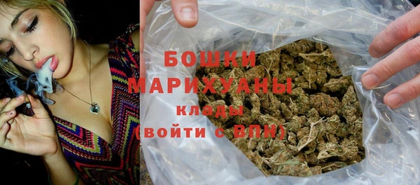 сатива Каменск-Шахтинский
