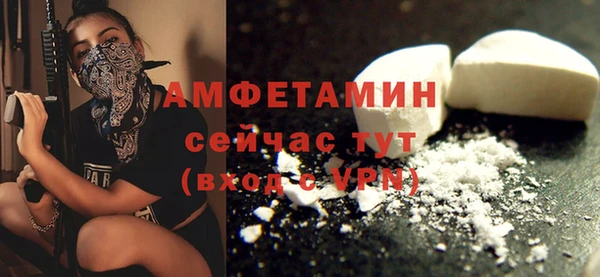 сатива Каменногорск