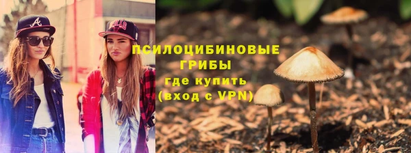 мет Каменка