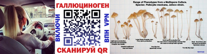 Псилоцибиновые грибы Cubensis  Котельнич 